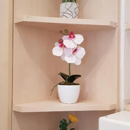 Ksenia Appartement
