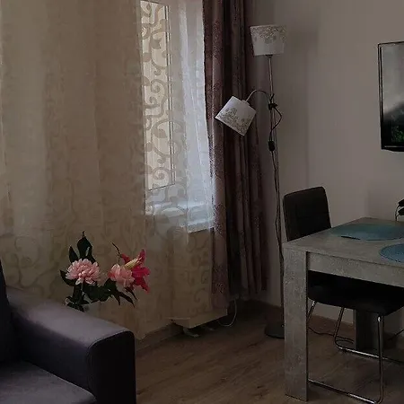 Ksenia 아파트